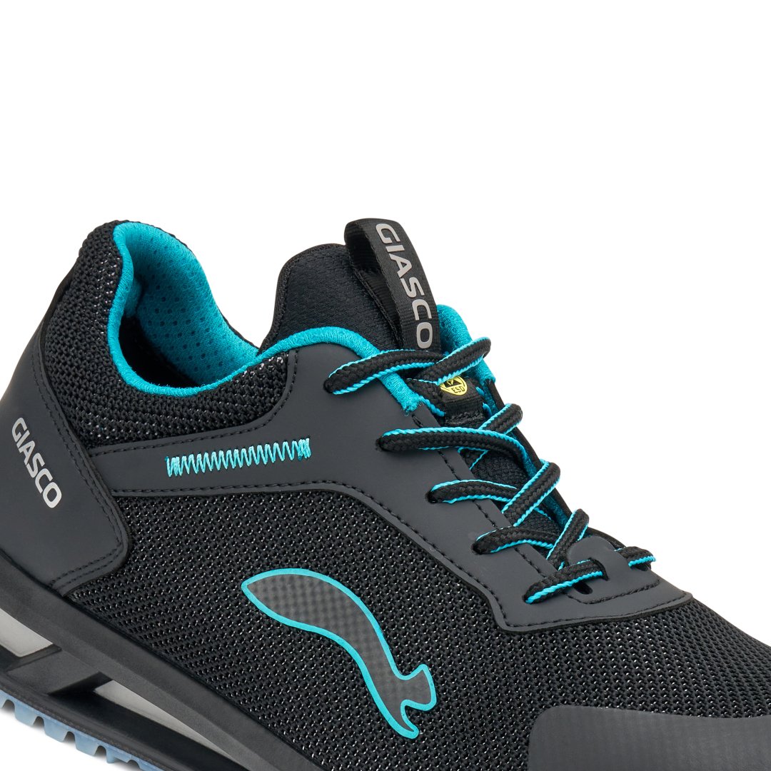 GIASCO ITACA S1PL FO SC SR - immagine 2